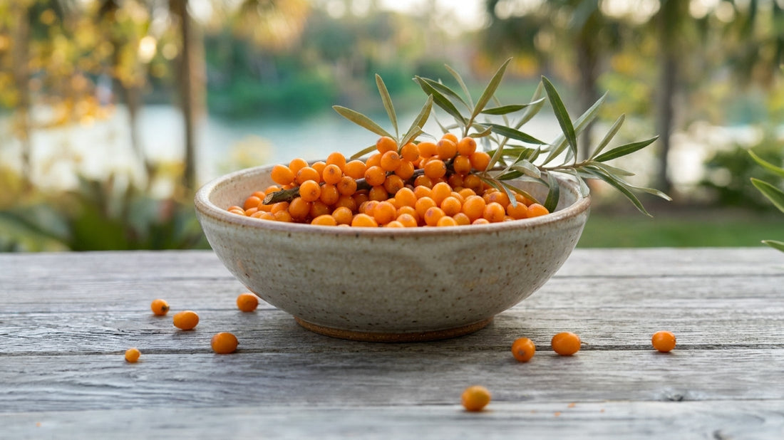 Organic Sea Buckthorn: From Berry to Bowl