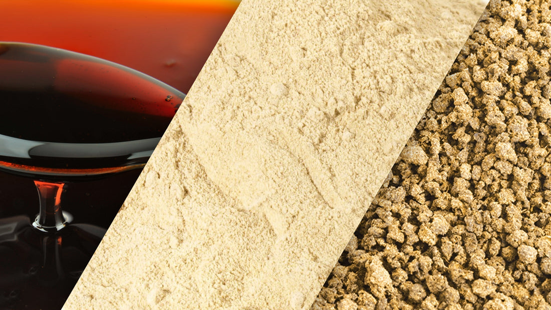 Sunflower Lecithin Buying Guide: Liquid vs Powder vs Granules Benefits & Uses