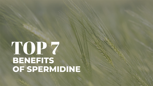 Top 7 Benefits of Spermidine