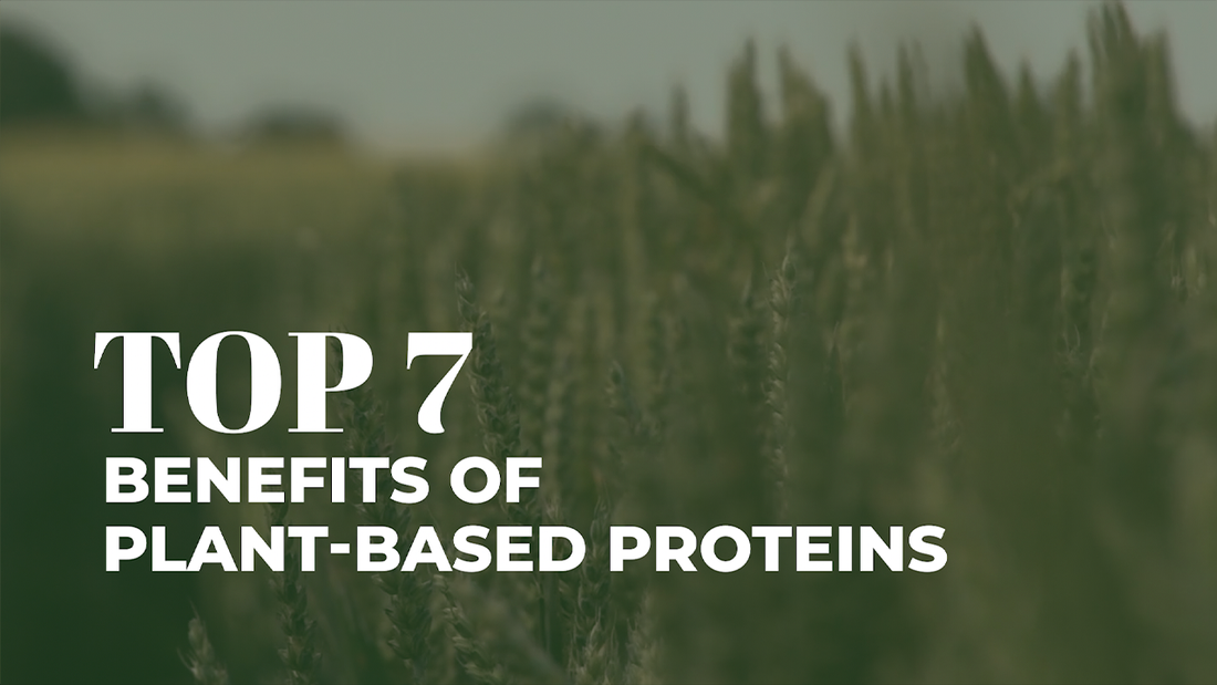 Top 7 Amazing Benefits of Plant-Based Protein